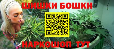 прущие грибы Пенза
