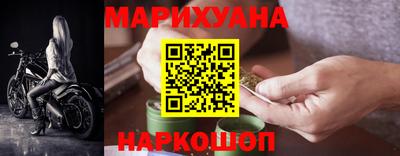 прущие грибы Пенза