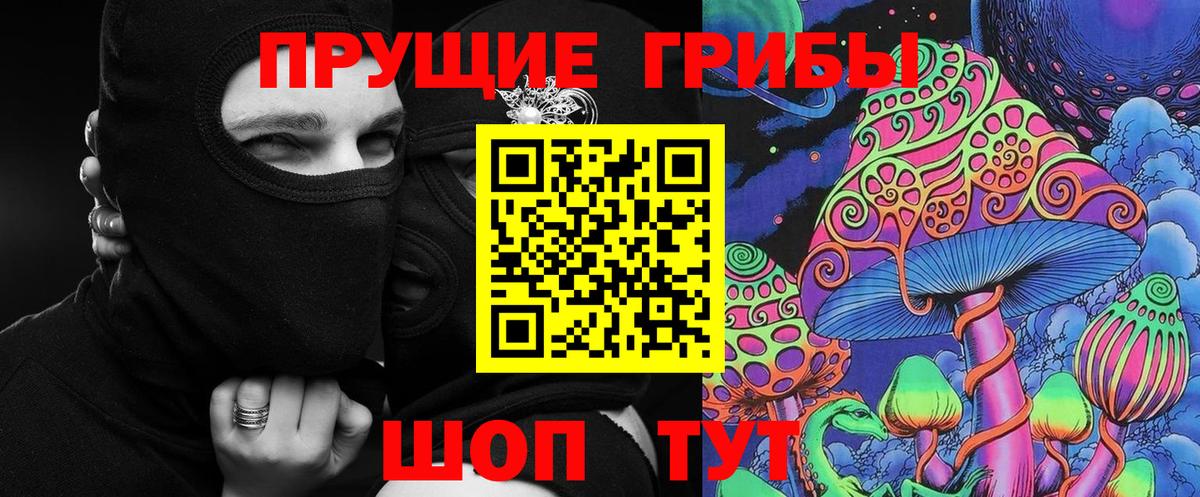 Галлюциногенные грибы прущие грибы  Вход с VPN  Славгород 